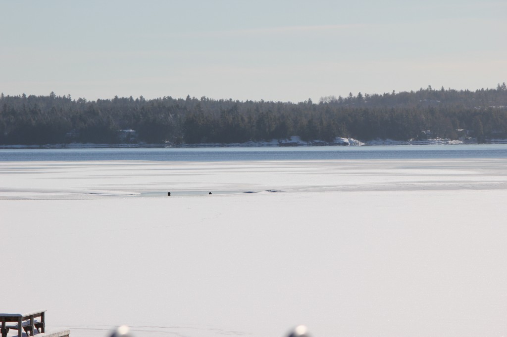 Mississagua Lake