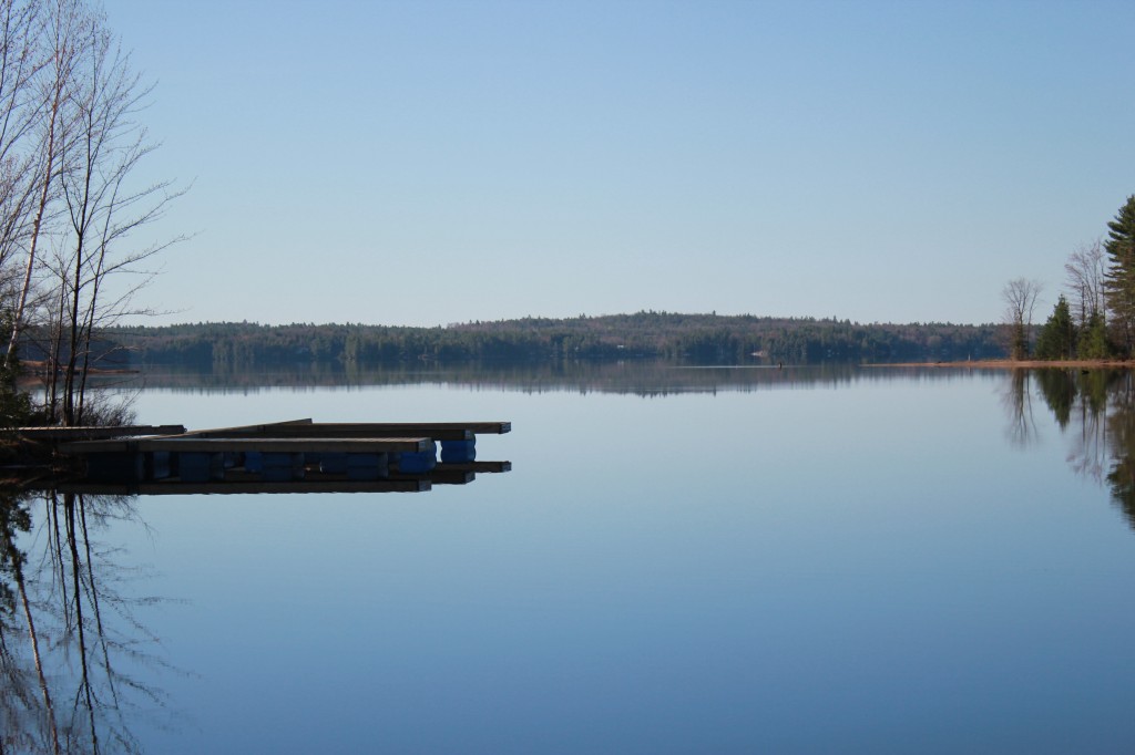 Spring Reflections