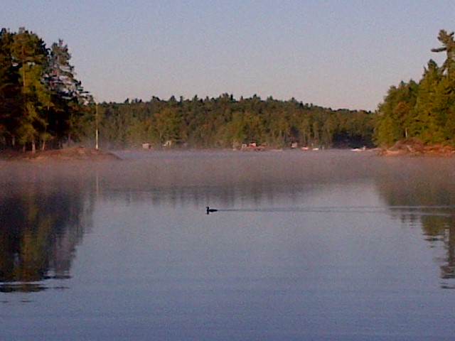 Labour Day Weekend