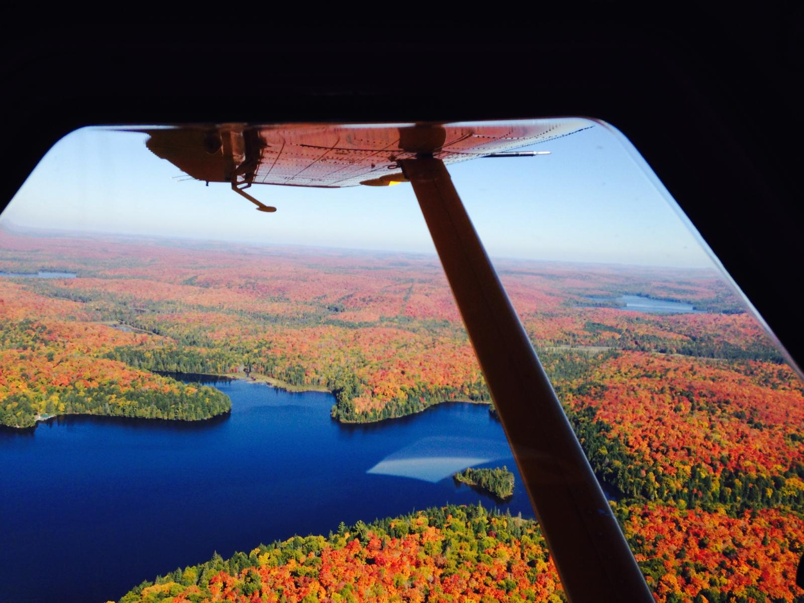 Algonquin Colours