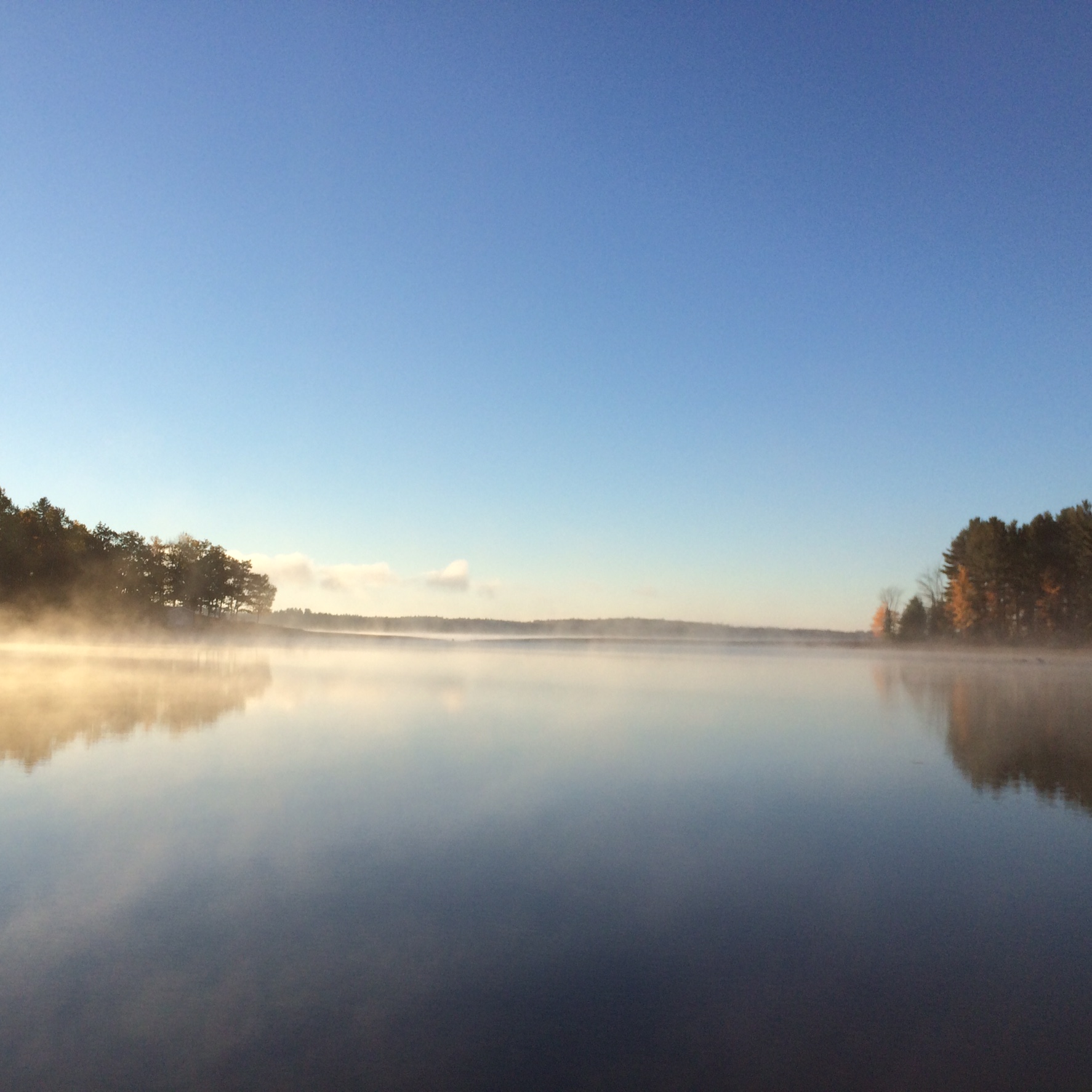 Misty morning