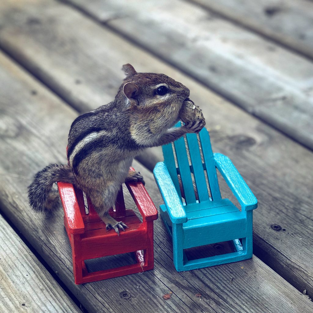 Happy Hour & Dock Snacks